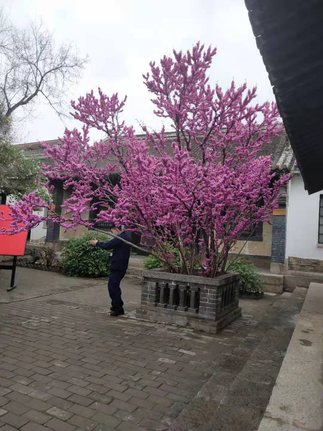 微信图片_202104060921033.jpg