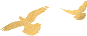 1722474345121696.png e02aca02b178a4272d96c9e8a091d276.png